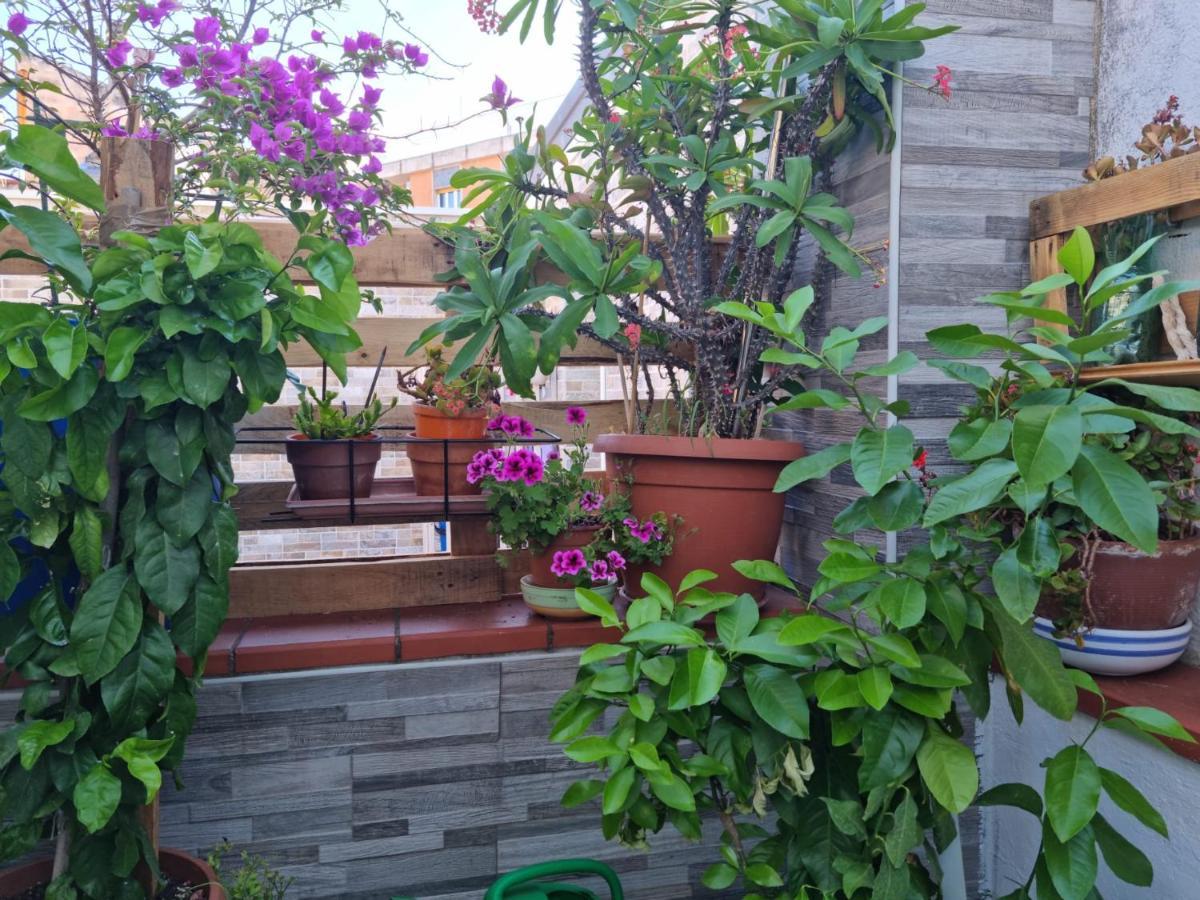 Residenza Lucana Matera Ngoại thất bức ảnh