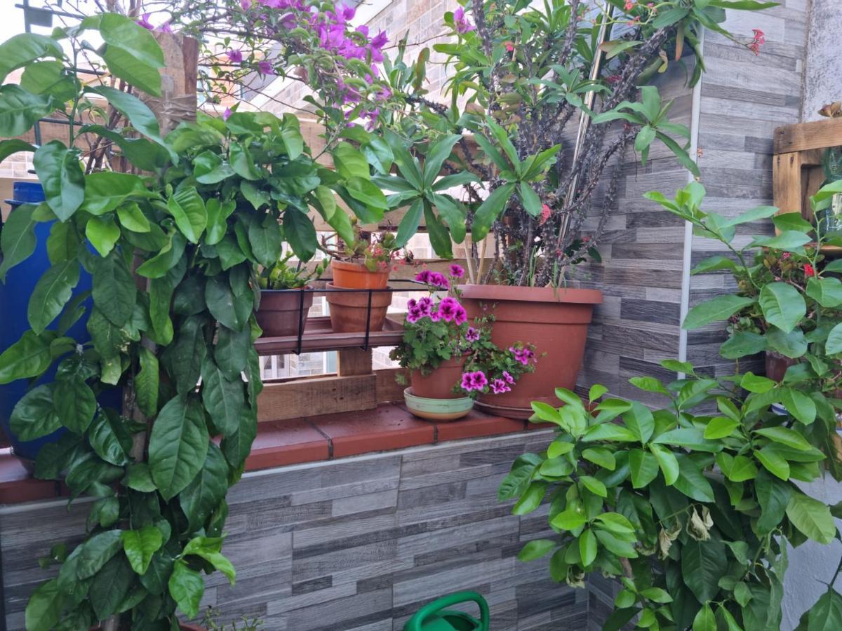 Residenza Lucana Matera Ngoại thất bức ảnh